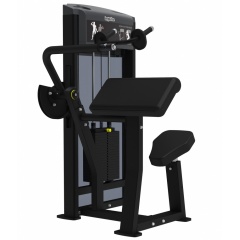AeroFit IF9323 Разгибание рук из каталога грузоблочных тренажеров в Красноярске по цене 238430 ₽