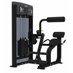 AeroFit IF9332 Разгибание спины из каталога грузоблочных тренажеров в Красноярске по цене 262740 ₽