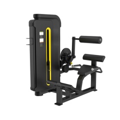 Svensson Industrial H3031 Matte Black Разгибание спины из каталога грузоблочных тренажеров в Красноярске по цене 68000 ₽