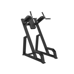 Svensson Industrial E3047 Matte Black из каталога стоек турник брусья-пресс в Красноярске по цене 46990 ₽