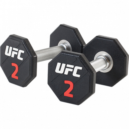 Рендер-0 для UFC 2 кг.
