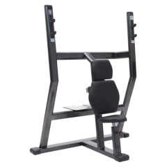 FitWorld FW-0670 жим от плеч из каталога скамей со стойкой в Красноярске по цене 58000 ₽