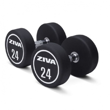 Рендер-0 для Ziva XP Urethane 2-20кг ZXP-DBPU8604