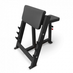 Bronze Gym AL-303 из каталога скамей Скотта в Красноярске по цене 49890 ₽