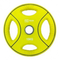 Protrain DB6092-15 (д=50 мм) из каталога дисков для штанги с посадочным диаметром 50 мм. в Красноярске по цене 6800 ₽