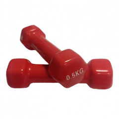 Protrain TA-2103-0,5 (пара) из каталога виниловых гантелей в Красноярске по цене 510 ₽