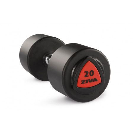 Рендер-0 для Ziva 34 кг. ZVO-DBPU-1023