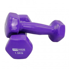 Protrain 1.5 кг. HC4005-1,5 из каталога виниловых гантелей в Красноярске по цене 850 ₽