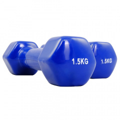 Protrain TA-2103-1,5 (пара) из каталога виниловых гантелей в Красноярске по цене 1110 ₽