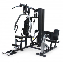 Horizon Home Gym Torus 5 из каталога мультистанций в Красноярске по цене 262910 ₽