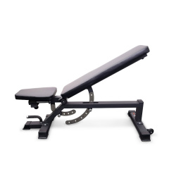 Protrain TC011 из каталога силовых скамей в Красноярске по цене 48450 ₽