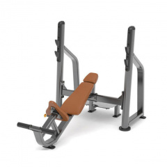 AnyFit PEB102 с положительным углом наклона из каталога скамей со стойкой в Красноярске по цене 156750 ₽