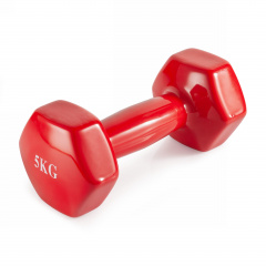 VictoryFit 5 кг. 1 шт. VF-DV050 из каталога виниловых гантелей в Красноярске по цене 1450 ₽
