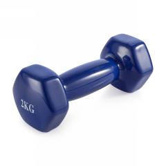 VictoryFit 2 кг. 1 шт. VF-DV020 из каталога виниловых гантелей в Красноярске по цене 600 ₽