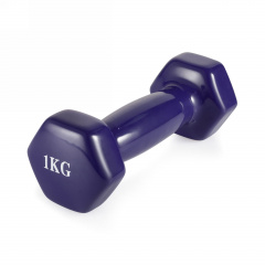 VictoryFit 1 кг. 1 шт. VF-DV010 из каталога виниловых гантелей в Красноярске по цене 340 ₽