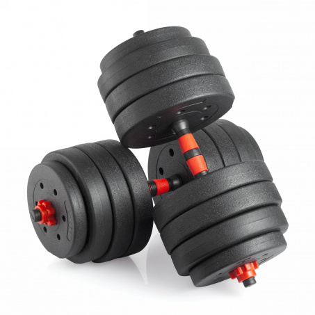 Рендер-0 для VictoryFit 40 кг. (2х20 кг.) VF-DC400