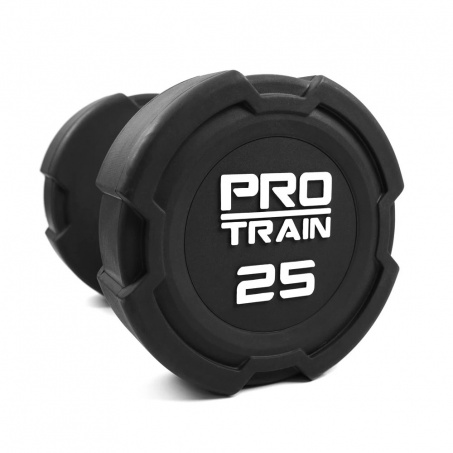 Рендер-1 для Protrain DPU (2,5-25) кг