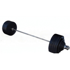 ProfyGym ШП-004 рекордная олимпийская 282.5 в наборе из каталога штанг в Красноярске по цене 158605 ₽