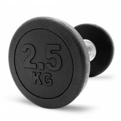 UnixFit PRO круглая 2,5 кг DBRND2_5PBK из каталога обрезиненных гантелей в Красноярске по цене 1090 ₽