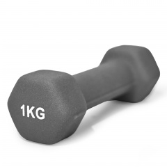 UnixFit 1 кг Grey DBNEO1GY из каталога неопреновых  гантелей в Красноярске по цене 510 ₽