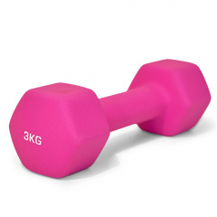 UnixFit 3 кг Pink DBNEO3PK из каталога неопреновых  гантелей в Красноярске по цене 1280 ₽