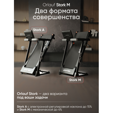 22 слайд галлереи