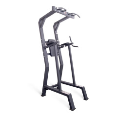 Protrain HC5019 из каталога стоек турник брусья-пресс в Красноярске по цене 111150 ₽