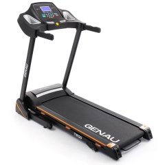 TR50 в Красноярске по цене 40210 ₽ в категории беговые дорожки Genau