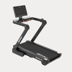 Nordic Z1 в Красноярске по цене 92650 ₽ в категории беговые дорожки Genau