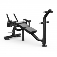 Matrix Magnum MG-PL50 - скамья для скручивания из каталога тренажеров на свободных весах в Красноярске по цене 355000 ₽