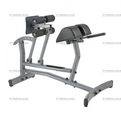 AeroFit Neo NRCH из каталога тренажеров римский стул в Красноярске по цене 39270 ₽
