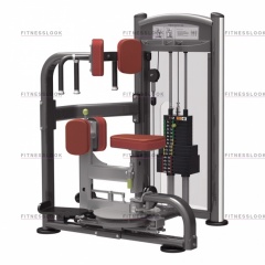 AeroFit IT9318 - вращение торса из каталога грузоблочных тренажеров в Красноярске по цене 229320 ₽