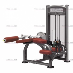 AeroFit IT9321 - сгибание ног лежа из каталога грузоблочных тренажеров в Красноярске по цене 162950 ₽