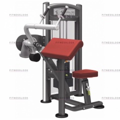 AeroFit IT9323 - трицепс разгибание рук из каталога грузоблочных тренажеров в Красноярске по цене 171840 ₽