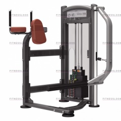 AeroFit IT9326 - ягодичные мышцы из каталога грузоблочных тренажеров в Красноярске по цене 132350 ₽