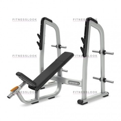 Precor DBR410 - со стойками из каталога обрезиненных гантелей в Красноярске по цене 162470 ₽