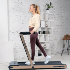 Svensson Body Labs Spacetech (Amberlight) из каталога беговых дорожек в Красноярске по цене 63990 ₽