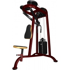 ProfiGym ТГ-0040-CР (Rubin) - Задняя дельта из каталога грузоблочных тренажеров в Красноярске по цене 100390 ₽