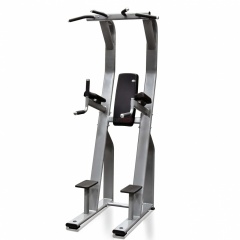 Protrain V8-304 из каталога стоек турник брусья-пресс в Красноярске по цене 126820 ₽