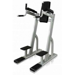 Protrain V8-301 из каталога стоек турник брусья-пресс в Красноярске по цене 101750 ₽